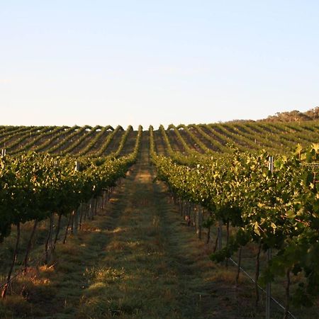 Mayfield Vineyard Orange Exterior foto
