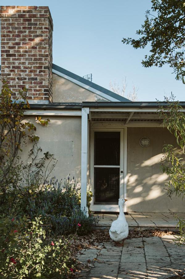 Mayfield Vineyard Orange Exterior foto