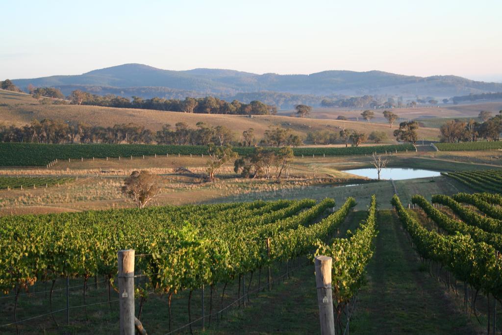 Mayfield Vineyard Orange Exterior foto