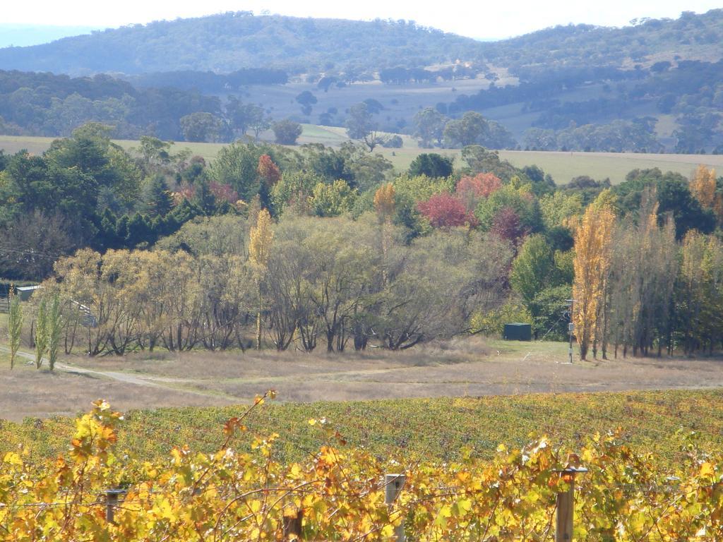 Mayfield Vineyard Orange Exterior foto